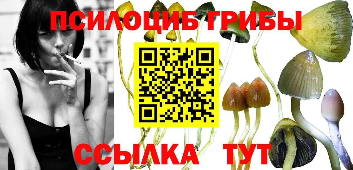 Псилоцибиновые грибы MAGIC MUSHROOMS Соль-Илецк