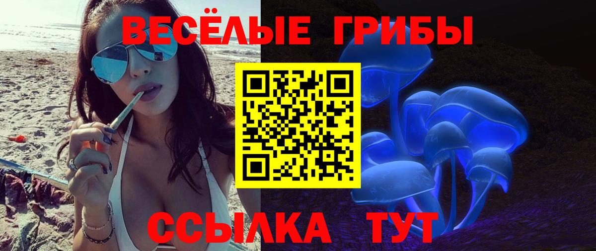 Соль-Илецк  Псилоцибиновые грибы Psilocybine cubensis  Вход с VPN 
